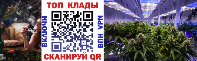 Купить закладку Вейп ТГК  Мефедрон  СОЛЬ  Галлюциногенные грибы  ГАШ  COCAIN  Бошки Шишки  АМФЕТАМИН  Бежецк