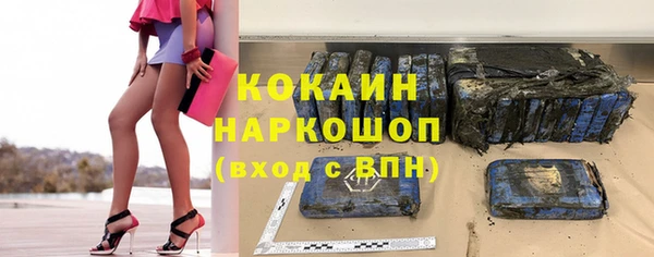 индика Корсаков