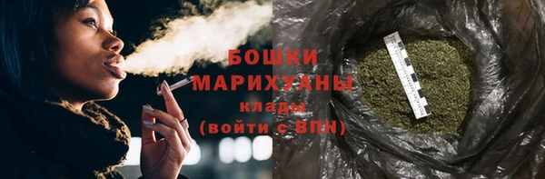 индика Корсаков