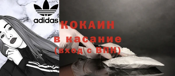 индика Корсаков