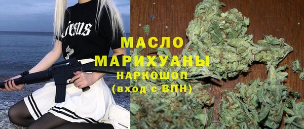 индика Корсаков