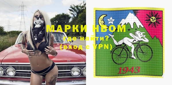 индика Корсаков