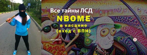 индика Корсаков
