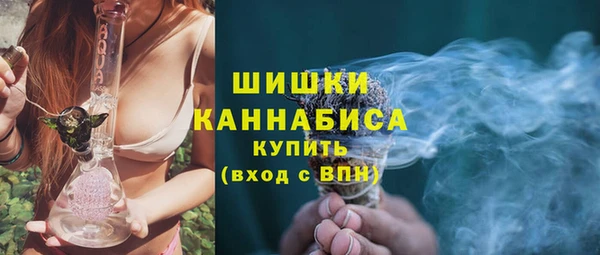 индика Корсаков